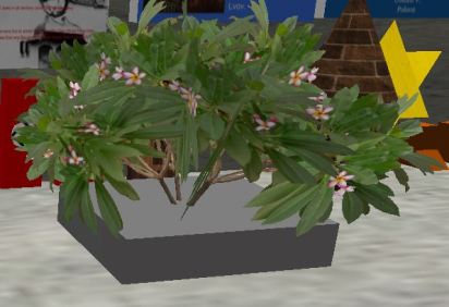 gavin-plant-representing-freedom