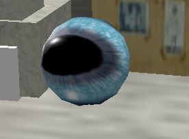 Mary - Mengele Eye.JPG