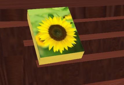 stephanie-sunflower-book